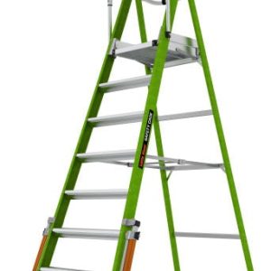 Little Giant EN131-7 Safety Cage Ladders
