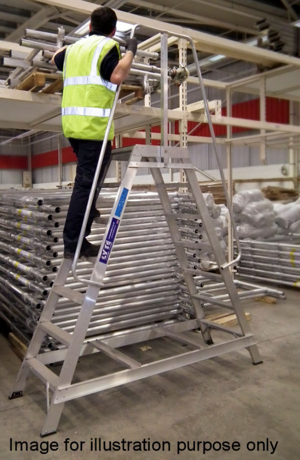 Lyte 6 Tread Fixed Industrial Double Sided Step Single Side Handrail