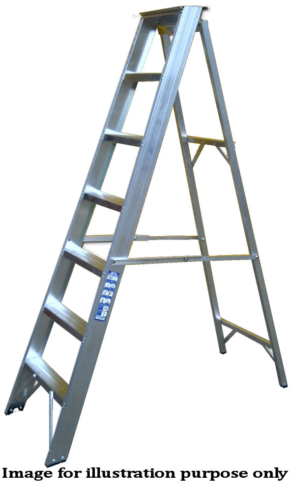 Chase Industrial Swingback Steps