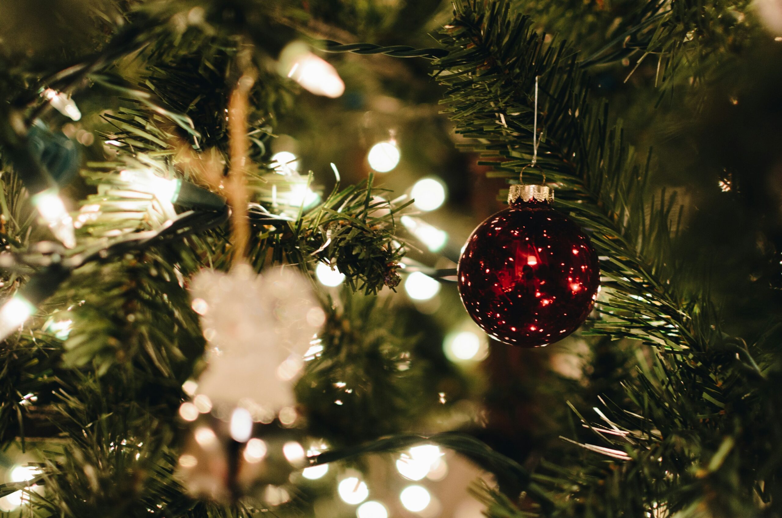 Get your Christmas jobs done safely and on time with Browns Ladders
