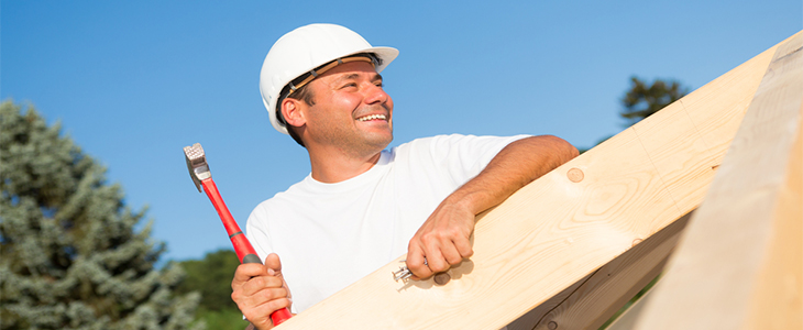 safe use of roof ladders