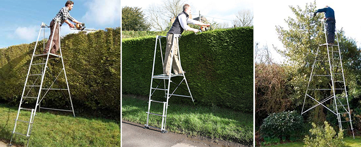 using a step ladder in the garden