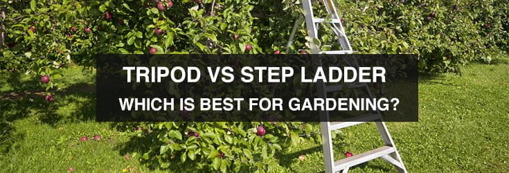 Tripod vs step ladder