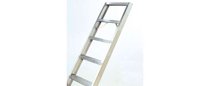 Specialist Chase Aluminium Shelf ladders