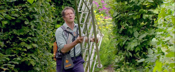 Garden steps take centre stage on Gardeners’ World