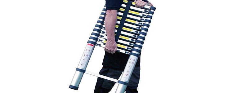 telescopic ladders