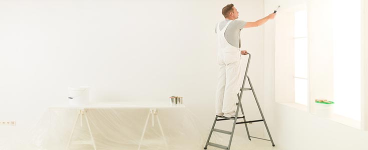 decorator using stepladders