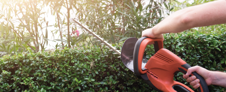 hedge trimmer