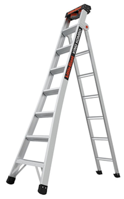 Giant ladder on sale