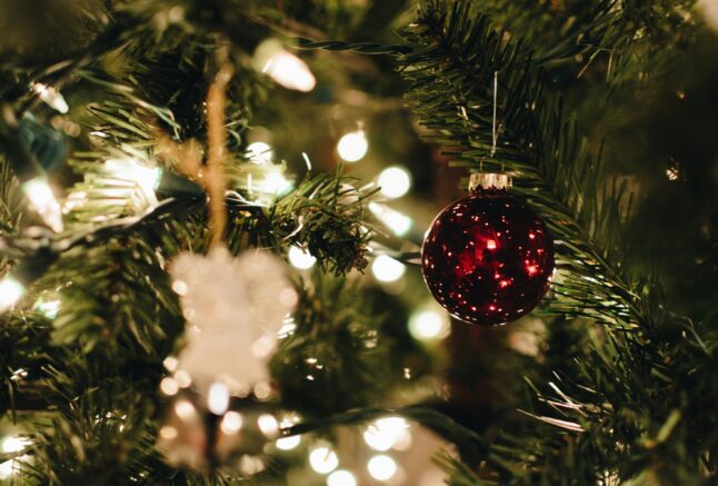 Get your Christmas jobs done safely and on time with Browns Ladders